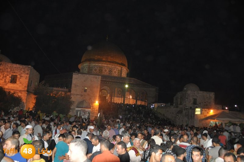 lud trawer7 aqsa 805 (22).JPG